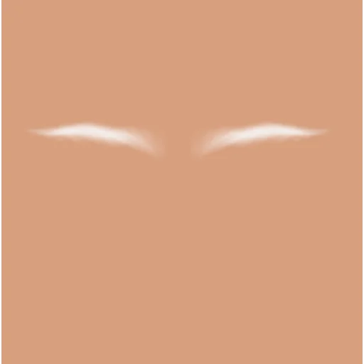 Custom Eyebrows 081