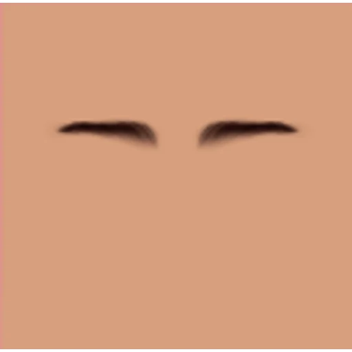 Custom Eyebrows 084