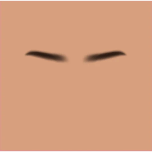Custom Eyebrows 085