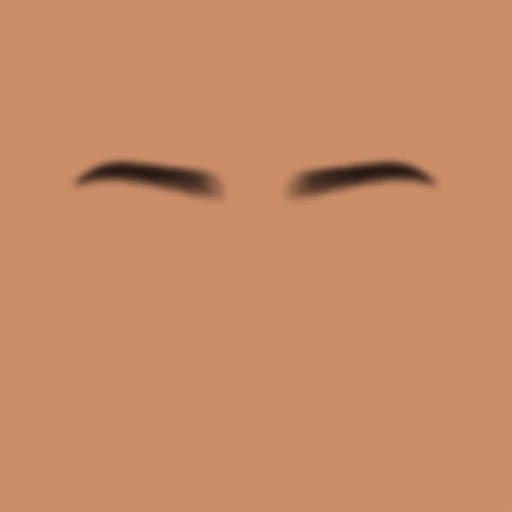 Custom Eyebrows 087