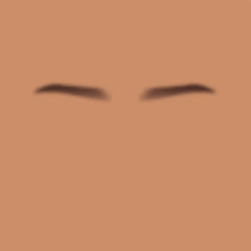 Custom Eyebrows 088