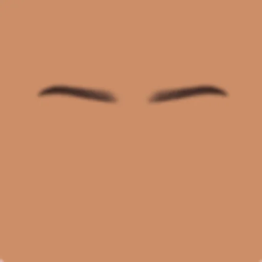 Custom Eyebrows 089
