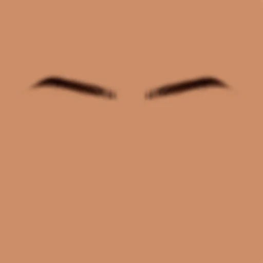 Custom Eyebrows 090