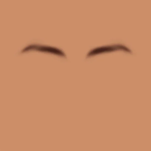 Custom Eyebrows 091