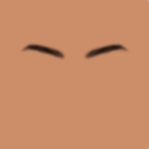 Custom Eyebrows 092