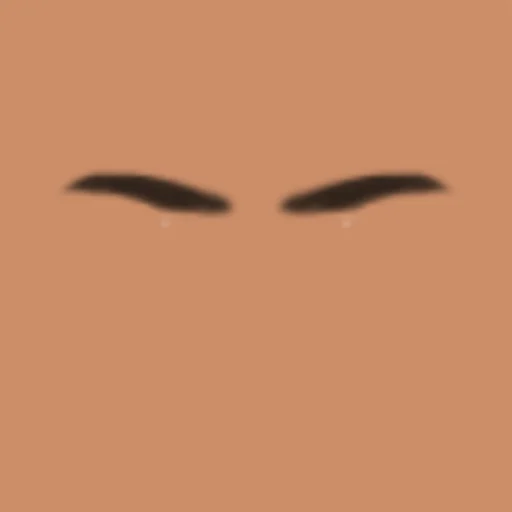 Custom Eyebrows 093