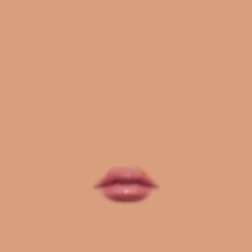 Custom Lips 006