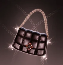 Rich Girl Bag