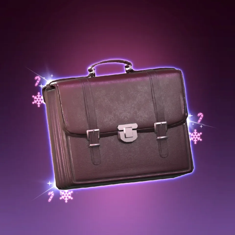 Business Bag