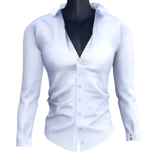 Button-Down Shirt