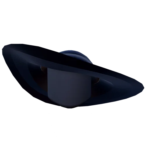 Glamorous Sunhat