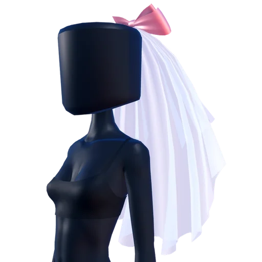 Veil
