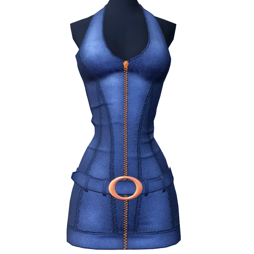 Zip-Up Denim Dress