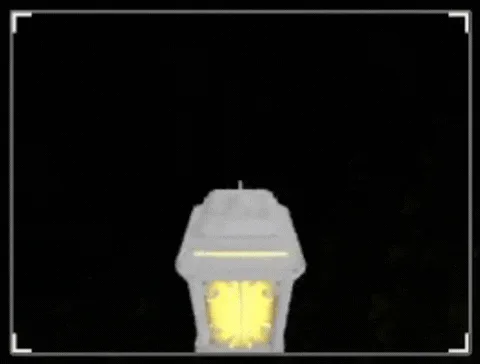 Angel's Feather Lantern