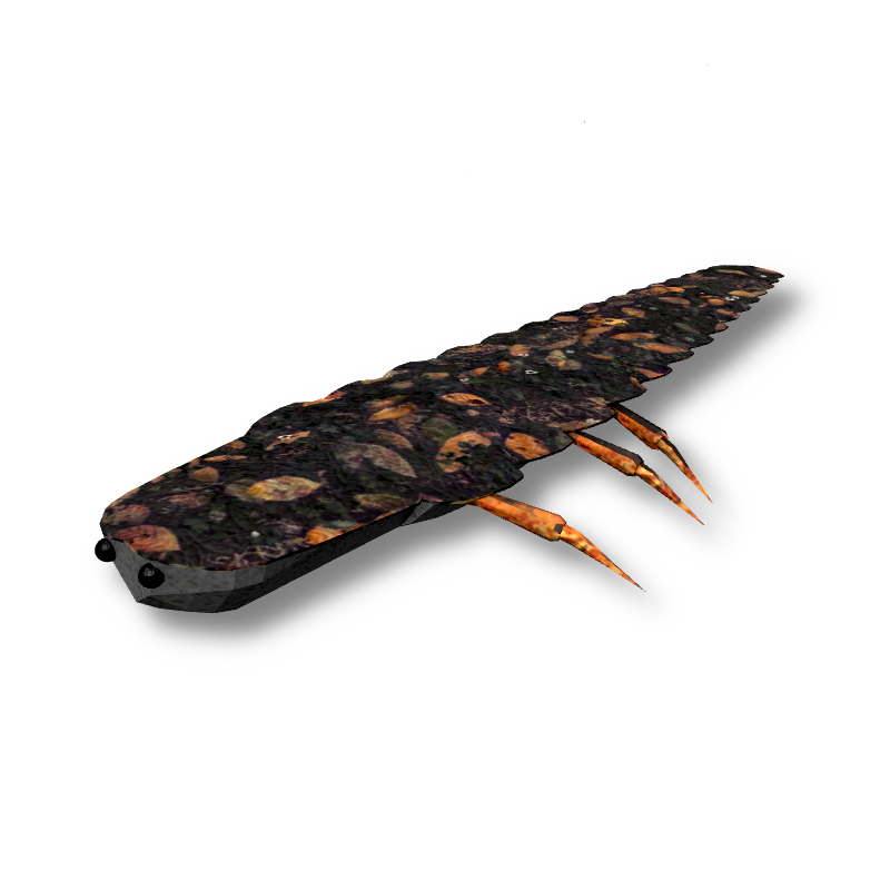 Glowworm