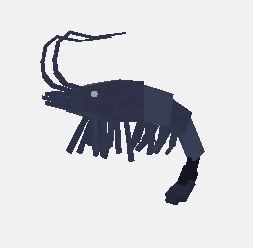 Night Shrimp