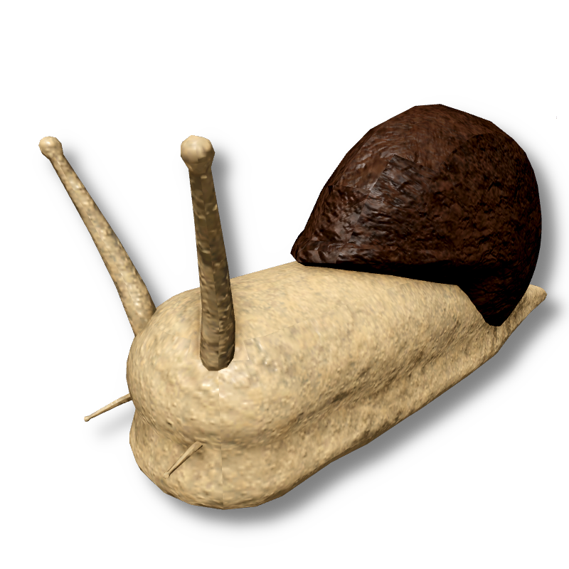 Snail