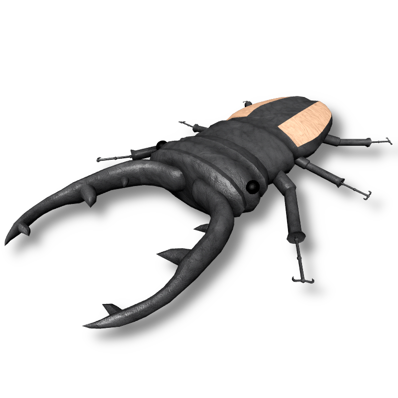 Stag Beetle