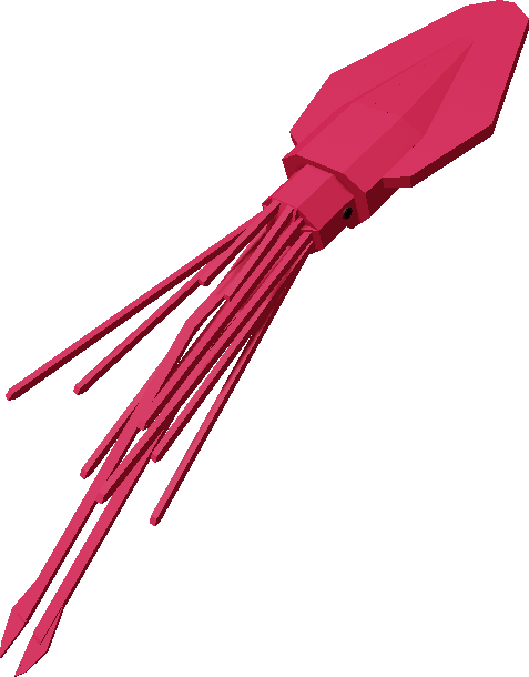 Not-So-Colossal Squid