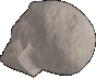 Skeleton