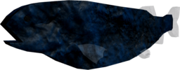 Abyssal Slickhead