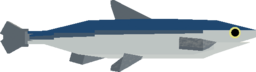 Anchovy