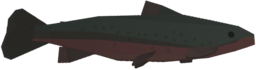 Arctic Char