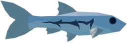 Ashscale Minnow