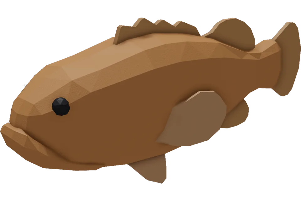 Atlantic Goliath Grouper