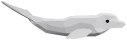 Beluga