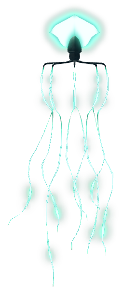 Bigfin Squid