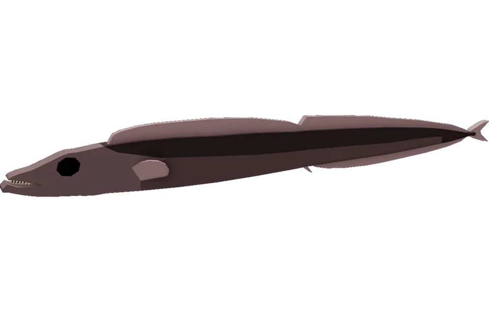 Black Scabbardfish