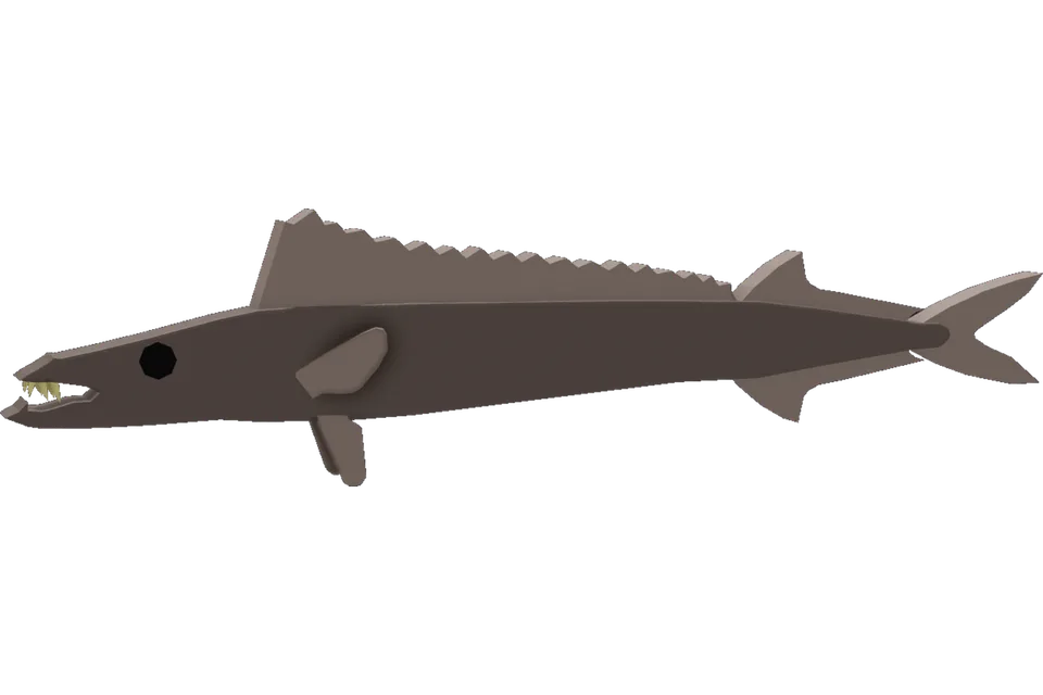 Black Snoek