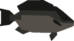 Blackfish