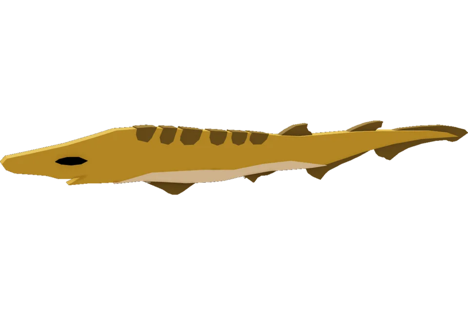 Blackmouth Catshark
