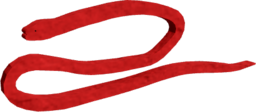 Blind Swamp Eel
