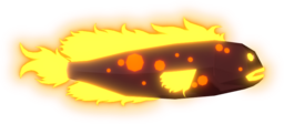Blisterback Blenny