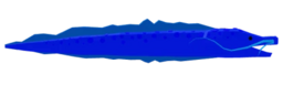 Blue Langanose