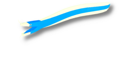 Blue Ribbon Eel