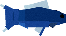 Bluefish