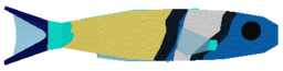 Bluehead Wrasse