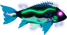 Borealis Snapper