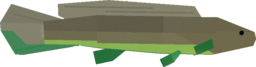 Bowfin