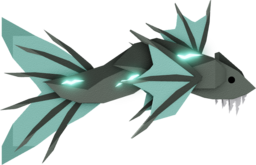 Buccaneer Barracuda