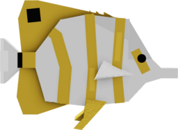 Butterflyfish