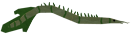 Carrot Eel
