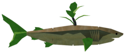 Carrot Shark