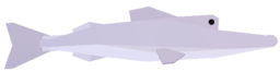 Chinfish