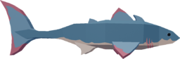Cladoselache