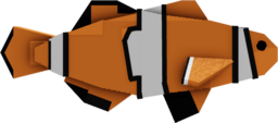 Clownfish